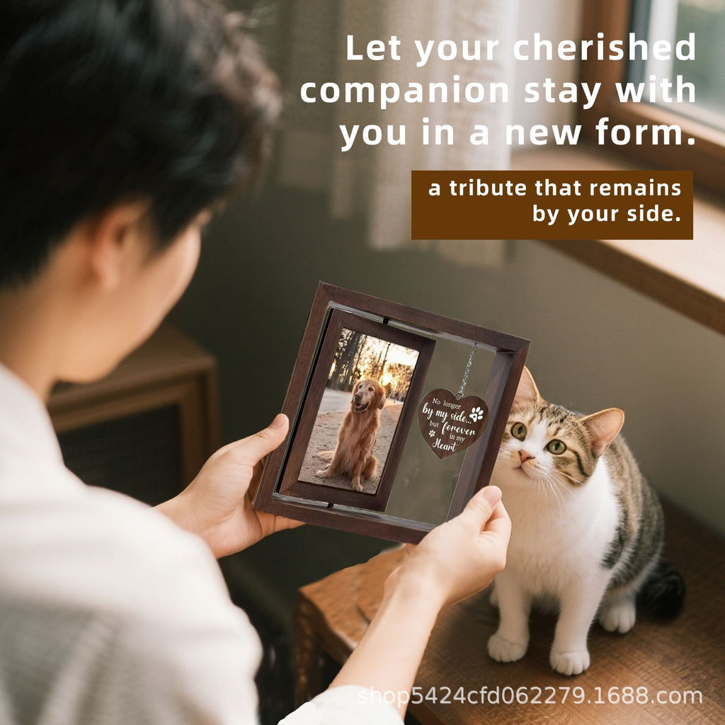 Pet commemorative cats and dogs are nostalgic. Print and develop pet commemorative photos to create a high-end look