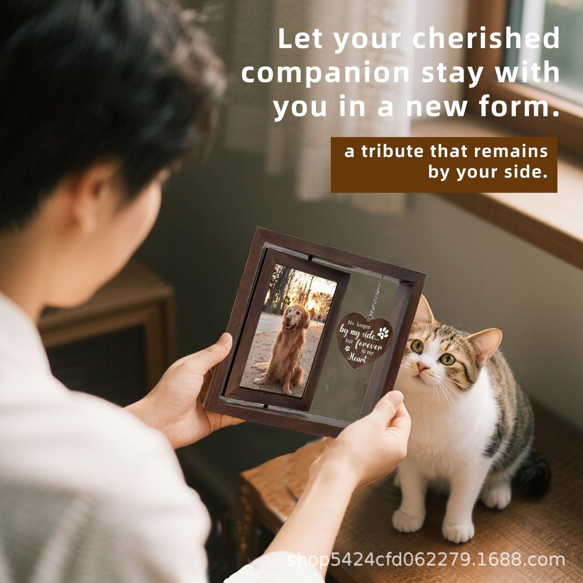 Pet commemorative cats and dogs are nostalgic. Print and develop pet commemorative photos to create a high-end look