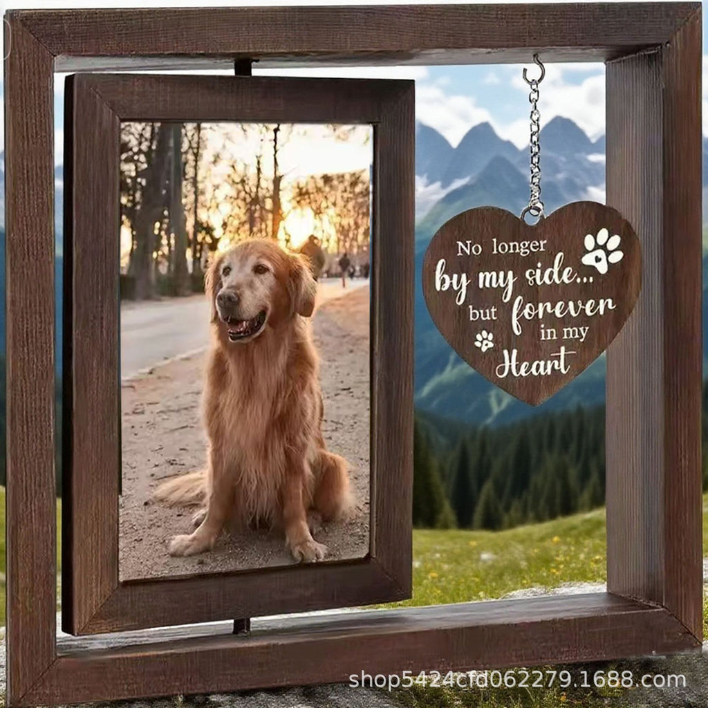 Pet commemorative cats and dogs are nostalgic. Print and develop pet commemorative photos to create a high-end look