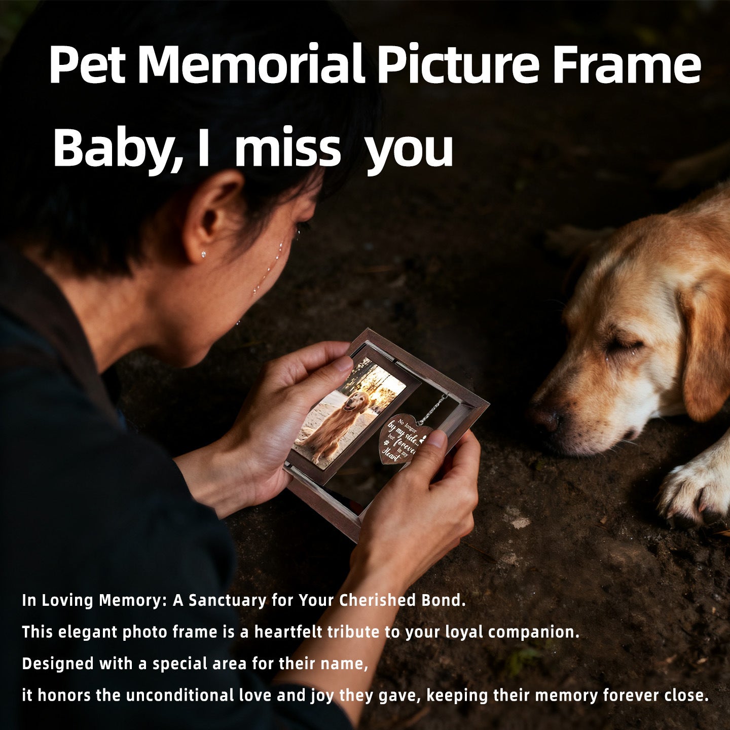 Pet commemorative cats and dogs are nostalgic. Print and develop pet commemorative photos to create a high-end look