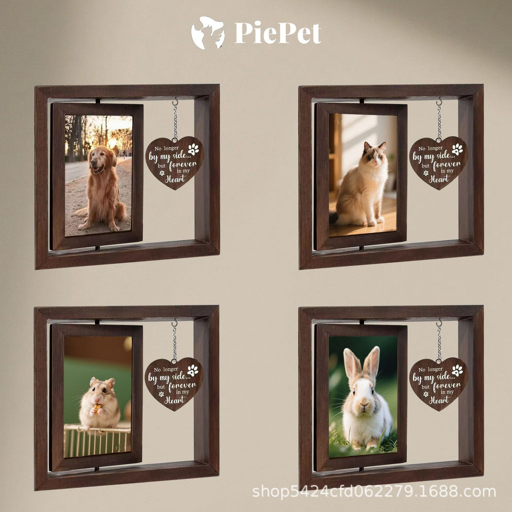 Pet commemorative cats and dogs are nostalgic. Print and develop pet commemorative photos to create a high-end look