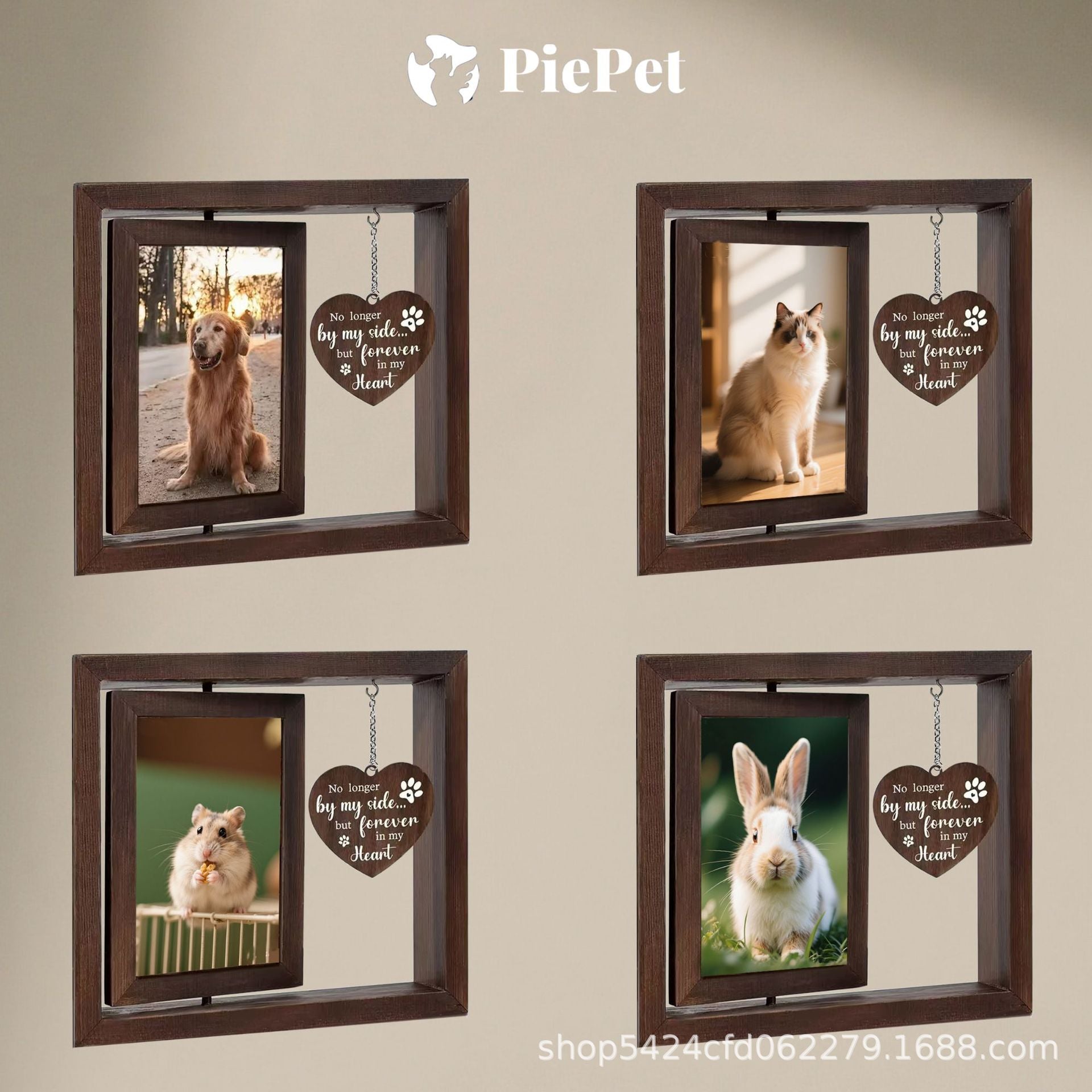 Pet commemorative cats and dogs are nostalgic. Print and develop pet commemorative photos to create a high-end look